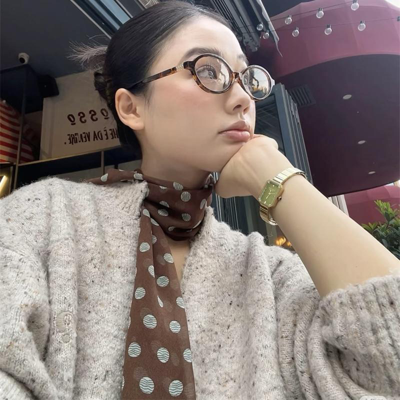 2026 new Ins style brown chiff - đánh giá và giá Women'S Accessories For Neck